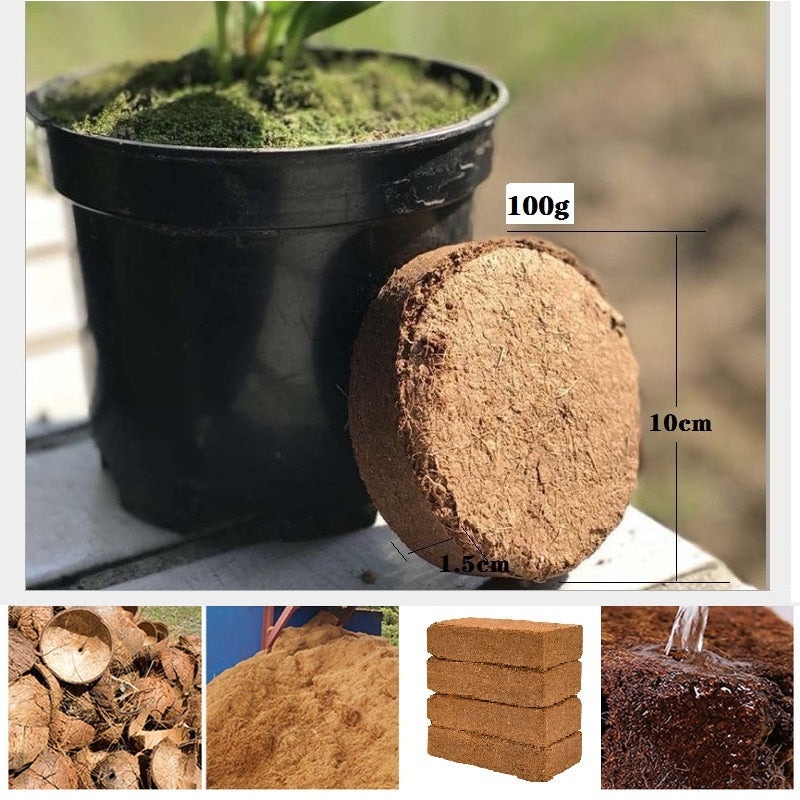 Coconut bricks nutrient soil bulk wholesale, Coconut coir seedling block, Succulent soil, Green plant fertiliser, Planting soil for flower and vegetable cultivation