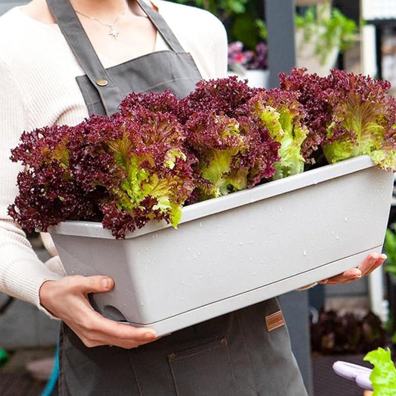 🌼Hot Sale🌼Rectangular Lazy Plastic Flower Pot, Suitable For Home Balcony