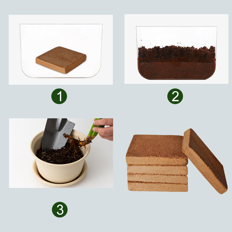 Coconut bricks nutrient soil bulk wholesale, Coconut coir seedling block, Succulent soil, Green plant fertiliser, Planting soil for flower and vegetable cultivation