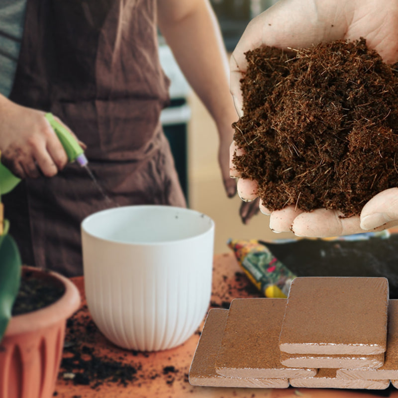 Coconut bricks nutrient soil bulk wholesale, Coconut coir seedling block, Succulent soil, Green plant fertiliser, Planting soil for flower and vegetable cultivation