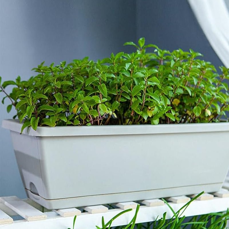 🌼Hot Sale🌼Rectangular Lazy Plastic Flower Pot, Suitable For Home Balcony