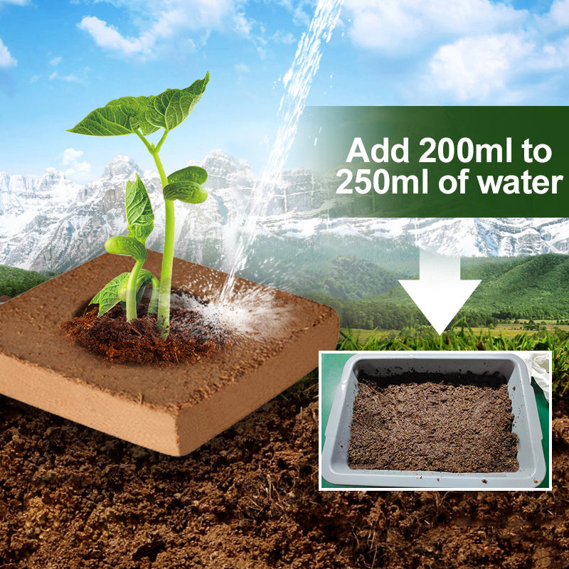 Coconut bricks nutrient soil bulk wholesale, Coconut coir seedling block, Succulent soil, Green plant fertiliser, Planting soil for flower and vegetable cultivation