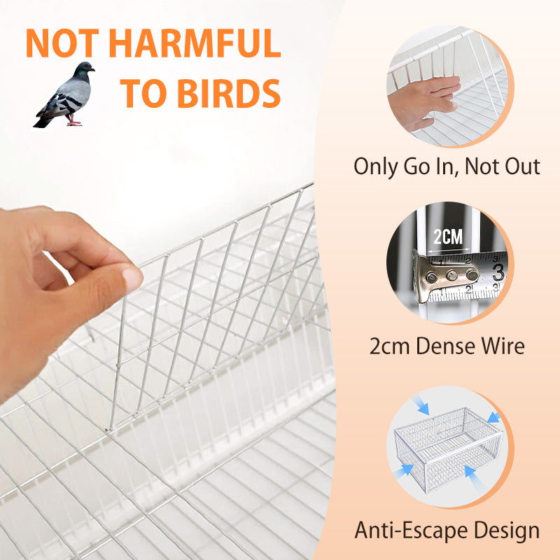 AutoTrap Bird Cage - Entry Only, No Exit, With Base