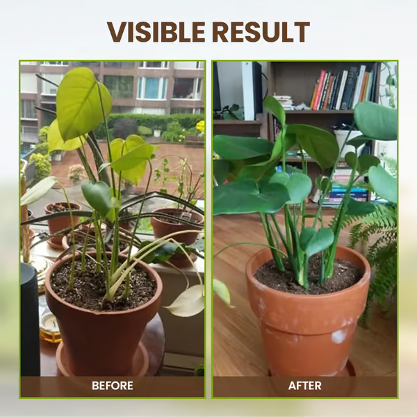 🔥 Soil Improvement Loosening Agent