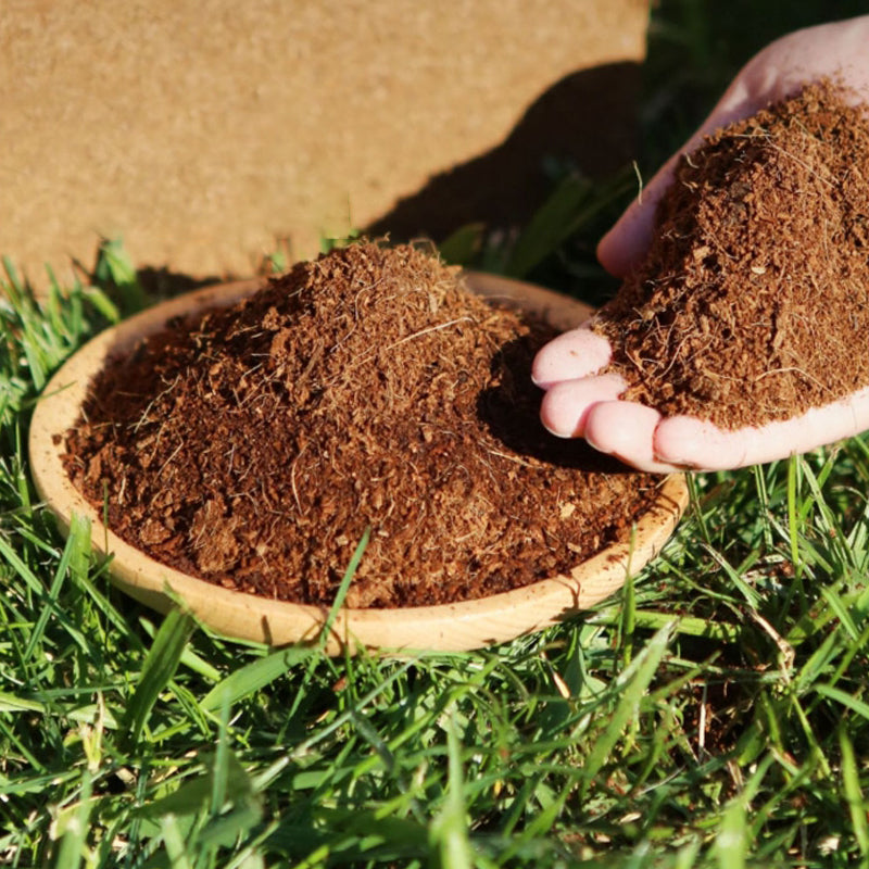 Coconut bricks nutrient soil bulk wholesale, Coconut coir seedling block, Succulent soil, Green plant fertiliser, Planting soil for flower and vegetable cultivation