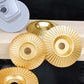 Grinding and Shaping Thorn Disc for Angle Grinder