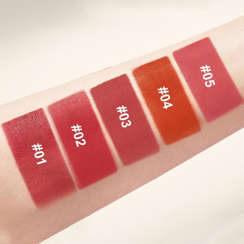 🎉Hot Sale 50% OFF🎉Multi-Functional Long-Lasting Color Lipstick