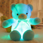 🧸Teddy Bear, Colourful LED Light, Soft Toys🌈