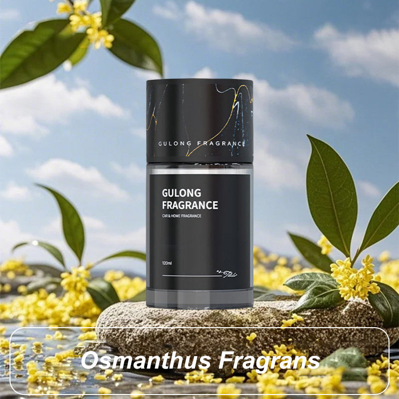 🔥Long-Lasting Car Fragrance