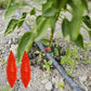 Drip Irrigation Blockage and Leakage Plugs 500pcs