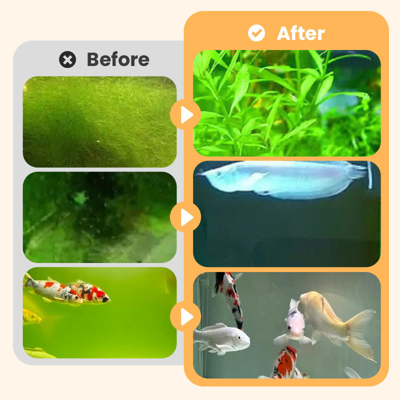 Algae & Moss Remover for Fish Tank - Safe Water Purification