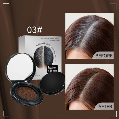 ✨Hot Sale✨Portable Temporary Hair Dye Cushion