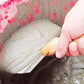 Stainless Steel Curved Plaster Spatula with Wooden Handle