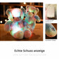 🧸Teddy Bear, Colourful LED Light, Soft Toys🌈