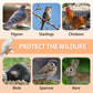 AutoTrap Bird Cage - Entry Only, No Exit, With Base