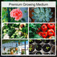 Coconut bricks nutrient soil bulk wholesale, Coconut coir seedling block, Succulent soil, Green plant fertiliser, Planting soil for flower and vegetable cultivation