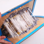 Easy to place, Catch mice anywhere anytime, Mouse trap, Your family's mouse defense tool