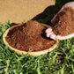 Coconut bricks nutrient soil bulk wholesale, Coconut coir seedling block, Succulent soil, Green plant fertiliser, Planting soil for flower and vegetable cultivation