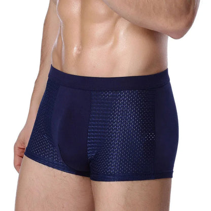 Breathable Antibacterial Boxer Mesh Silk Briefs