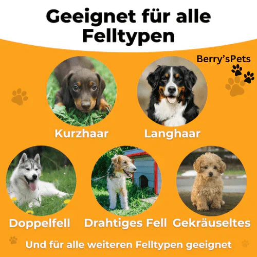 💥Pet🐕Professional Brush