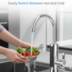 Tankless Instant Hot Water Heater Faucet