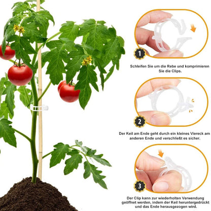 🗜️Clips For Climbing Plants – Plastic tomato ties and plant fasteners 🌱🍅