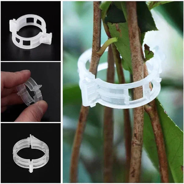🗜️Clips For Climbing Plants – Plastic tomato ties and plant fasteners 🌱🍅