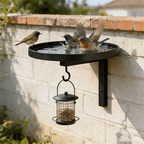 Wall-Mounted Metal Bird Bath – Antique Bronze Finish 🐦🛁🧱🏡