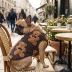 Cute Plush-Lined Pet Vest